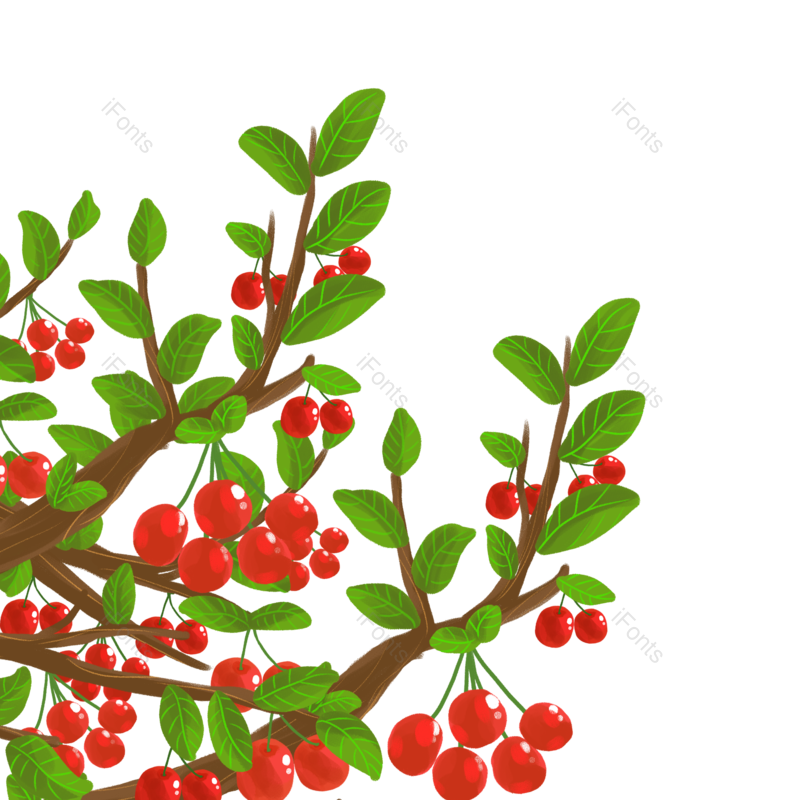 水果装饰图片,水果素材元素,水果元素PNG,插画素材免抠素材